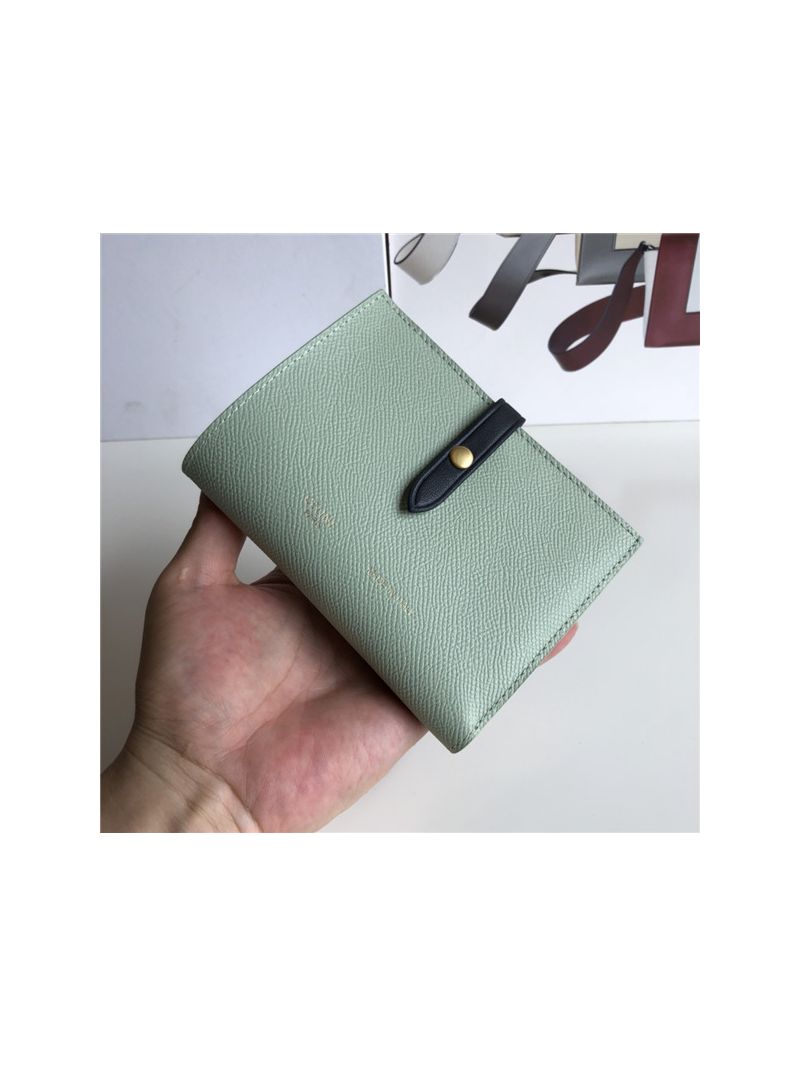 Celine Strap medium/large multifunction wallet in light green grained calfskin and shiny calfskin