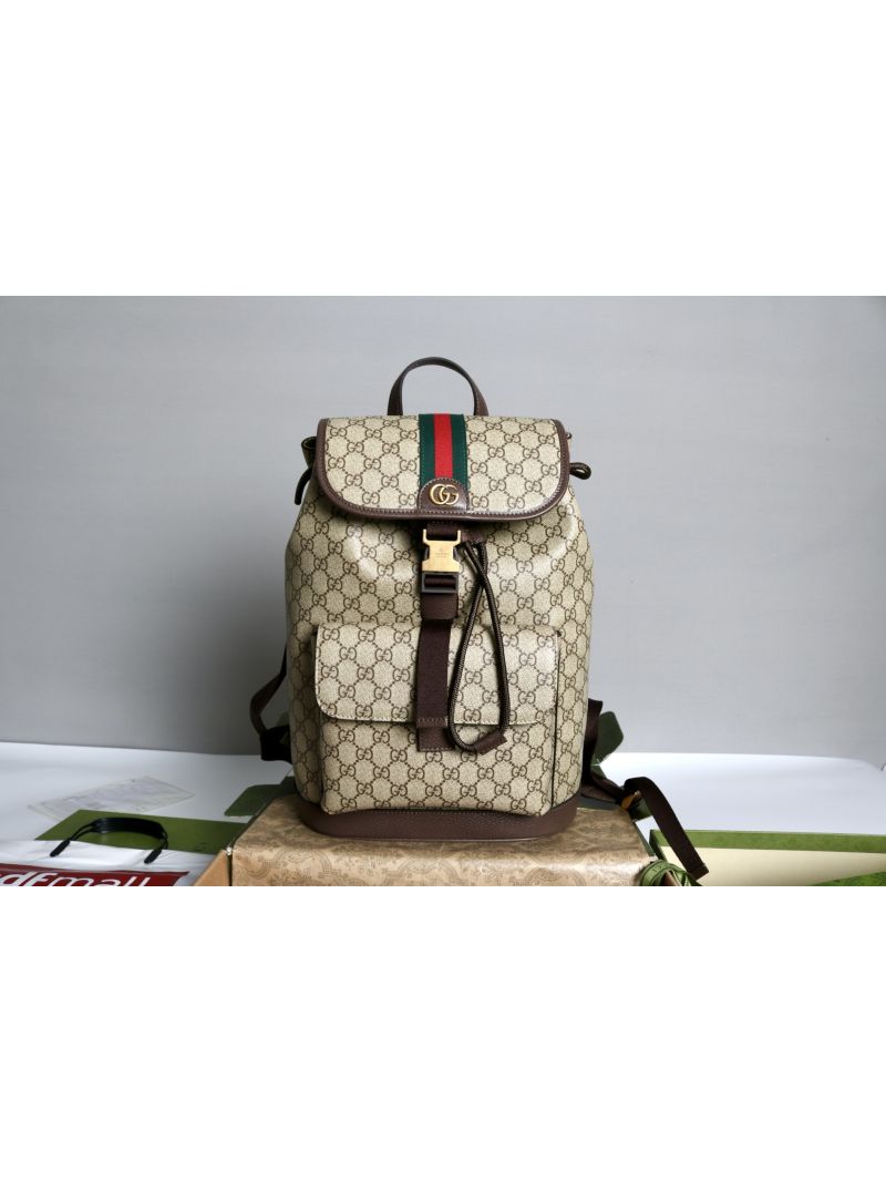 Gucci Ophidia small backpack 839109