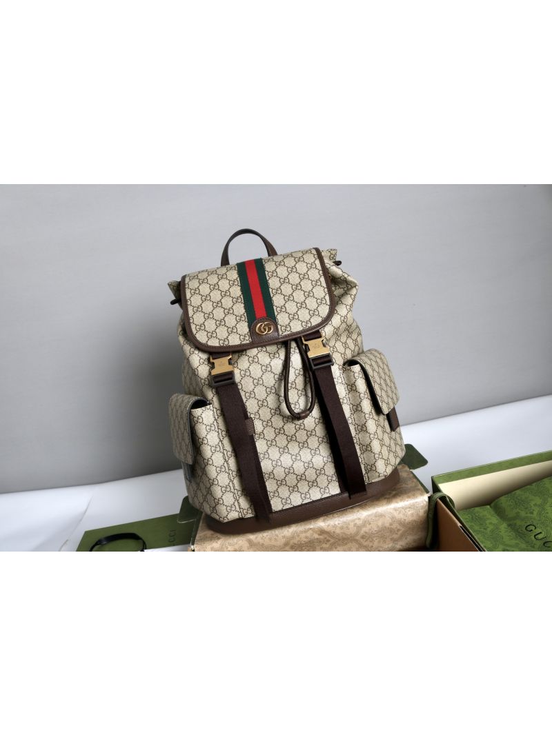 Gucci Ophidia large backpack 839110