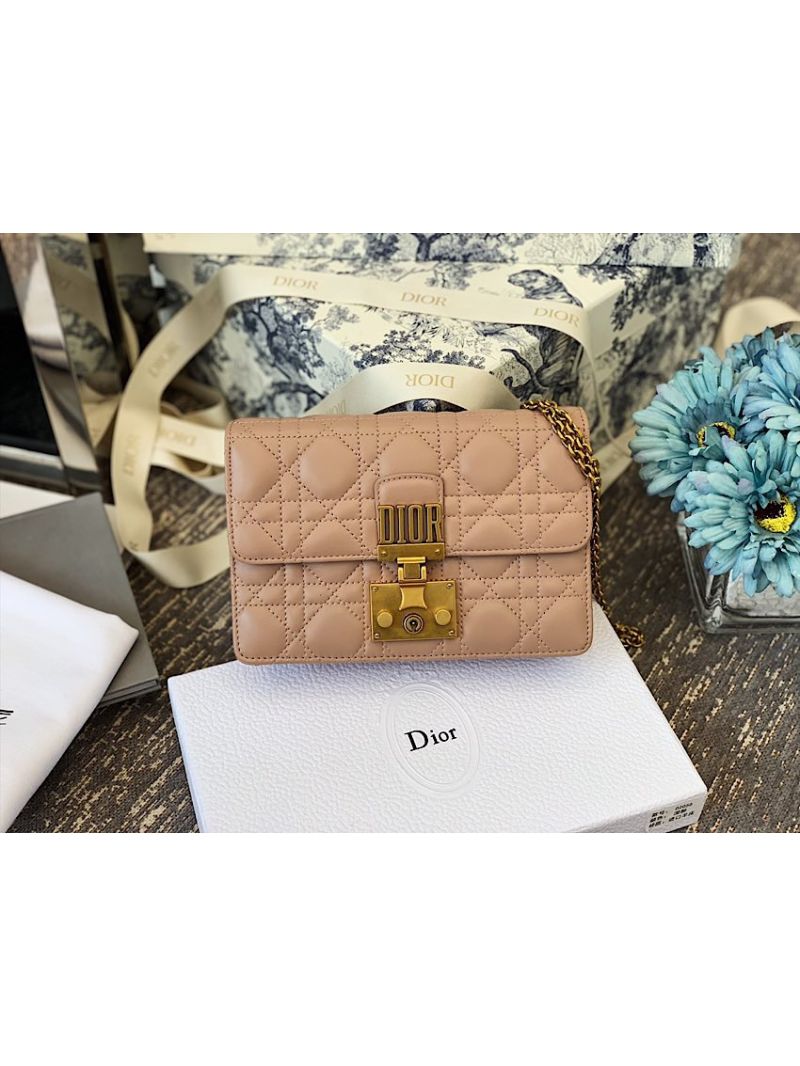 Dior Dioraddict Wallet On Chain Cutch Nude