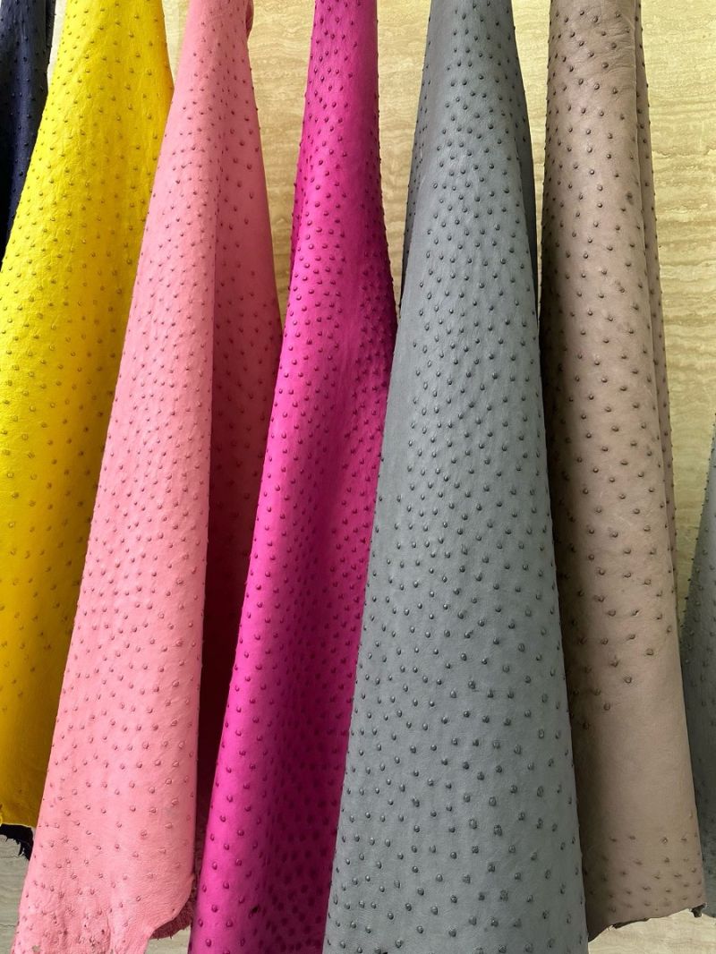 Hermès Kelly Ostrich Leather Customise Sellier Retourne