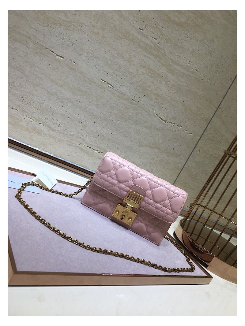 Dior Dioraddict Wallet On Chain Cutch Pink