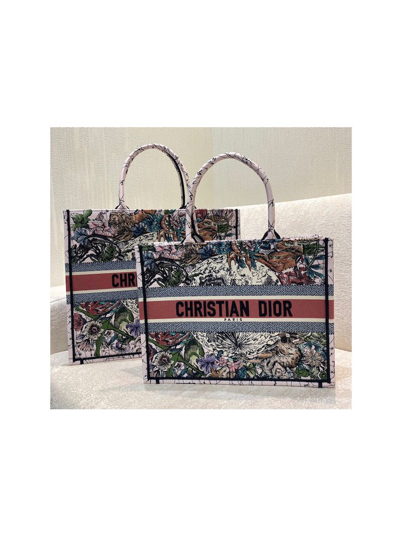 Dior Book Tote bag in Pink Multicolor Constellation Embroidery
