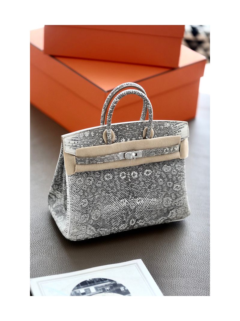 Hermes Birkin Lizard Ombre Leather
