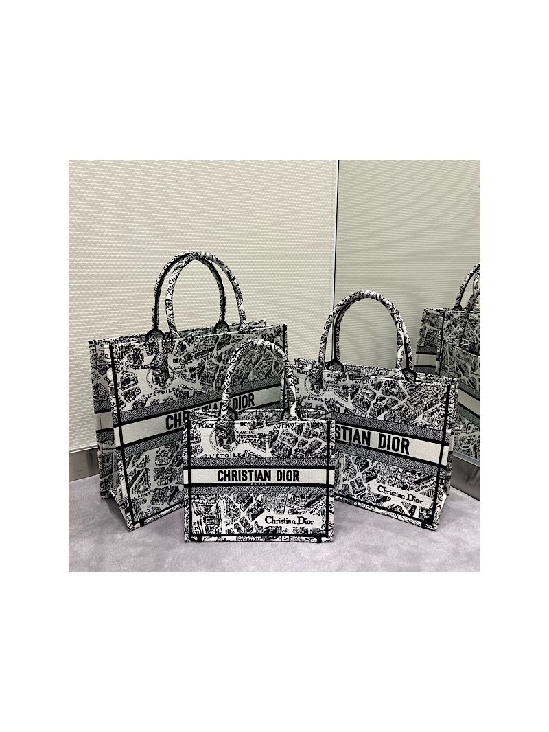 Dior Book Tote bag in White and Black Plan de Paris Embroidery