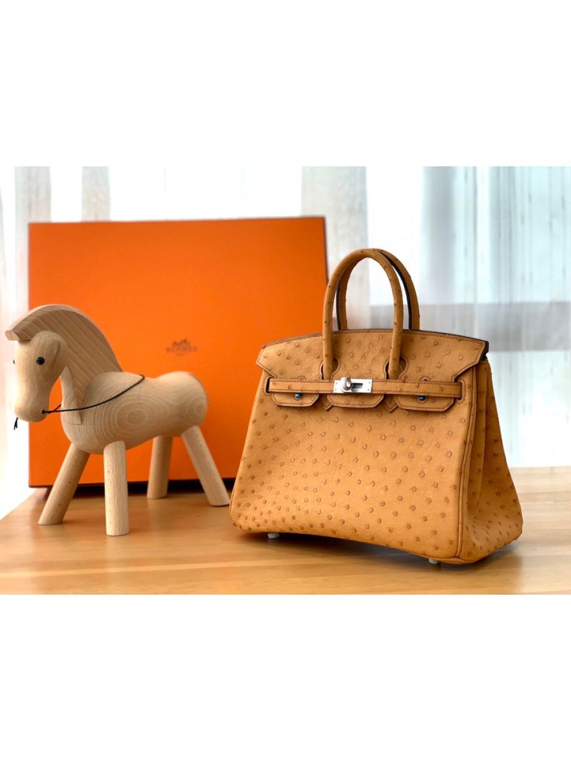 Hermes Birkin Ostrich Leather in Chestnuf