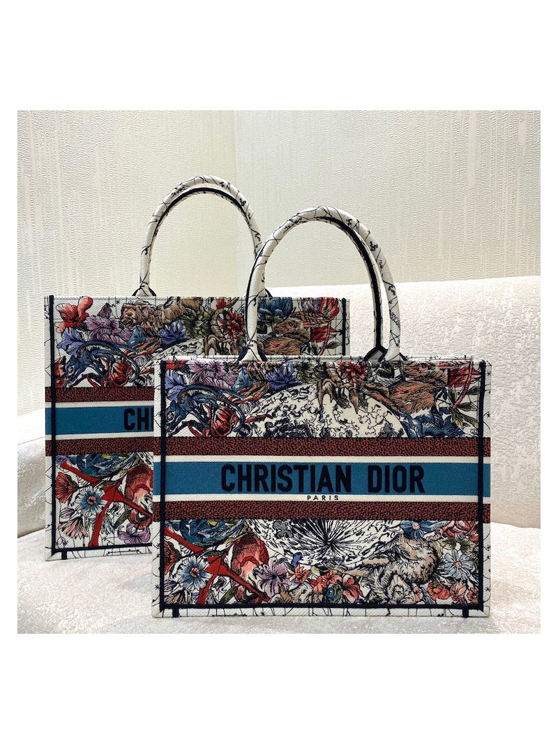 Dior Book Tote bag in Latte Multicolor Constellation Embroidery