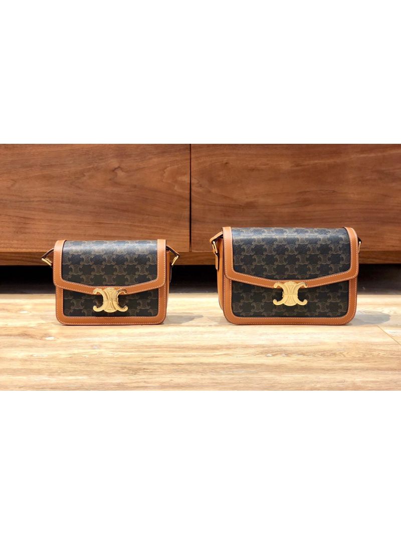 Celine Triomphe Bag in Triomphe Canvas And Calfskin